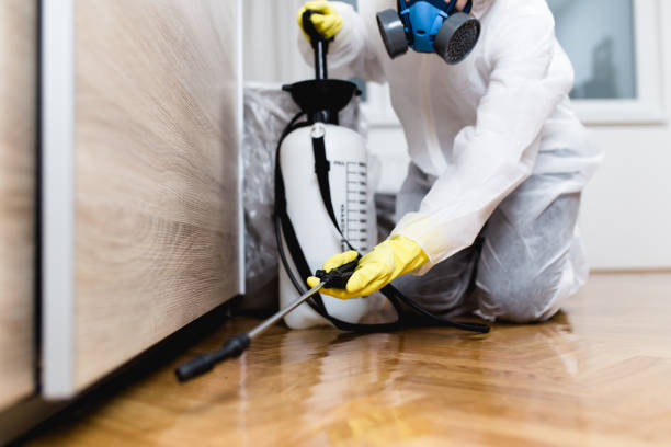 Best Wasp Removal Services  in Rose Hill, NC