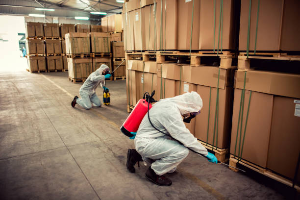 Best Affordable Pest Control Services  in Rose Hill, NC