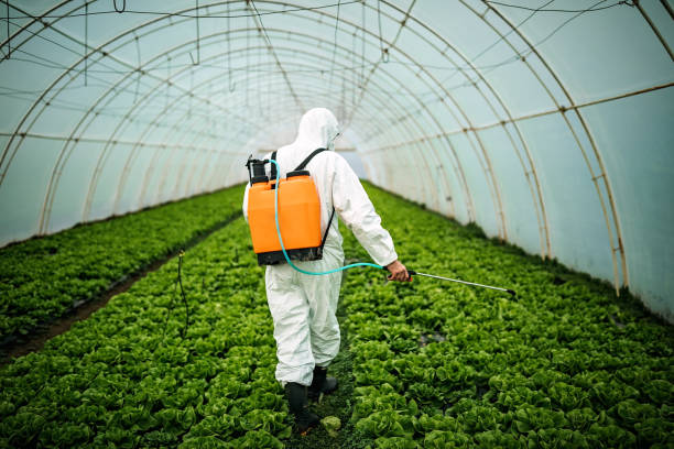 Best Pest Removal Services  in Rose Hill, NC
