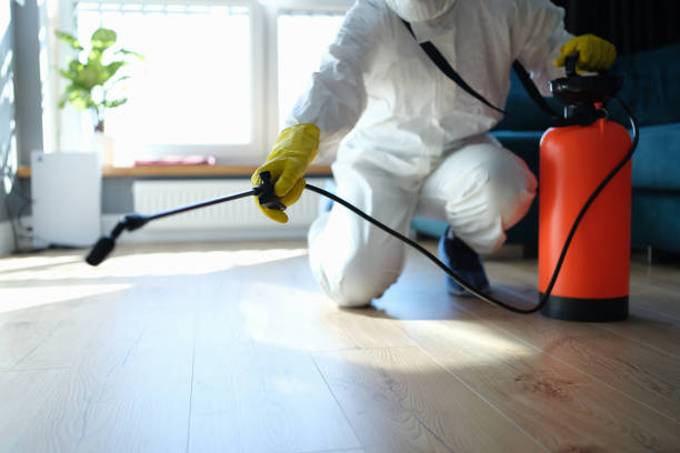 Best Flea Control Services  in Rose Hill, NC