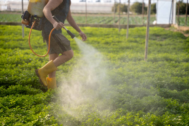 Best Exterminator Services  in Rose Hill, NC