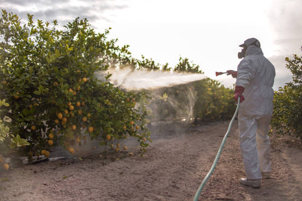Best Ant Control Services  in Rose Hill, NC