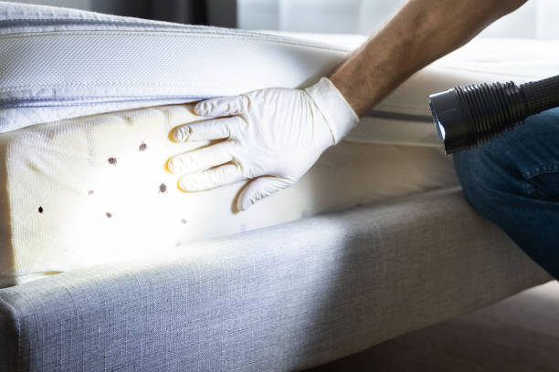 Best Bed Bug Extermination  in Rose Hill, NC