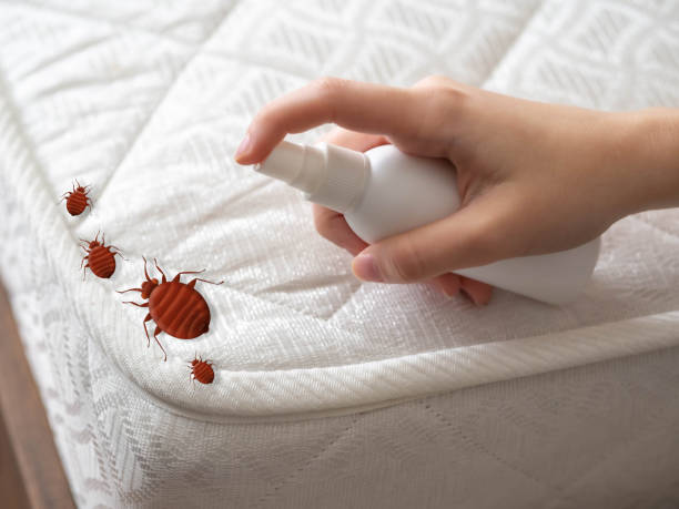Best Termite Control Services  in Rose Hill, NC