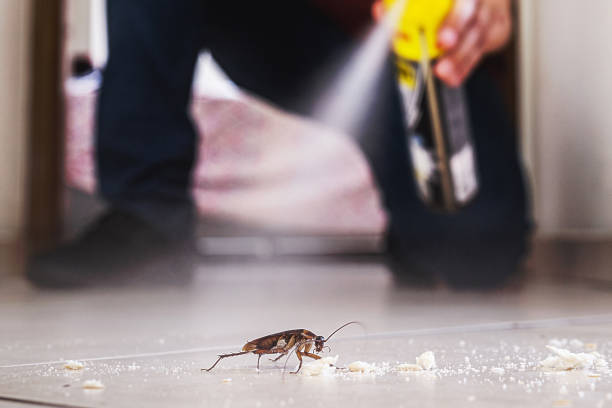 Best Best Pest Control Companies  in Rose Hill, NC